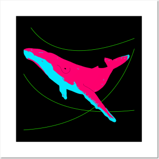 Humpback whale (Megaptera novaeangliae) Posters and Art